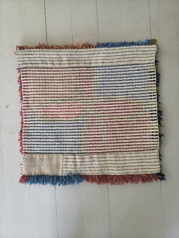 Pieni  kirjava sein&auml;ryijy